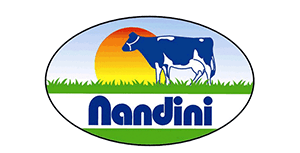 Nandini